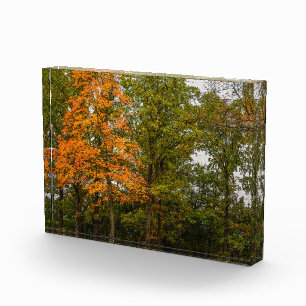 Stand Out Photo Block