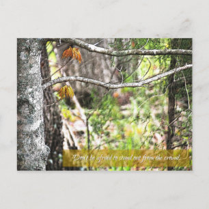 Stand out postcard