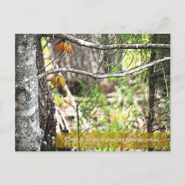 Stand out postcard (Front)