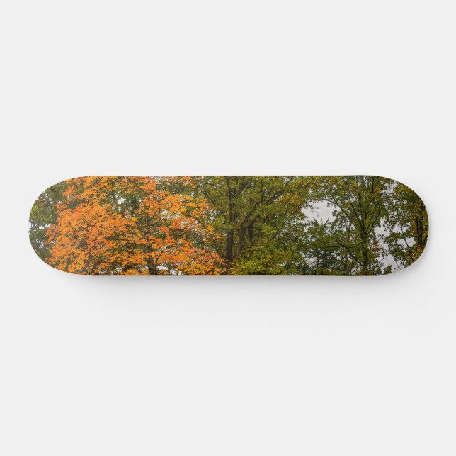 Stand Out Skateboard (Horz)