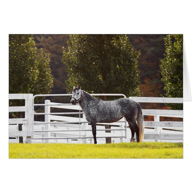 Stand Proud (Front Horizontal)