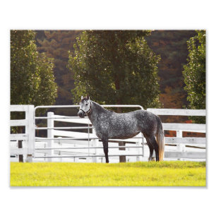 Stand Proud Photo Print