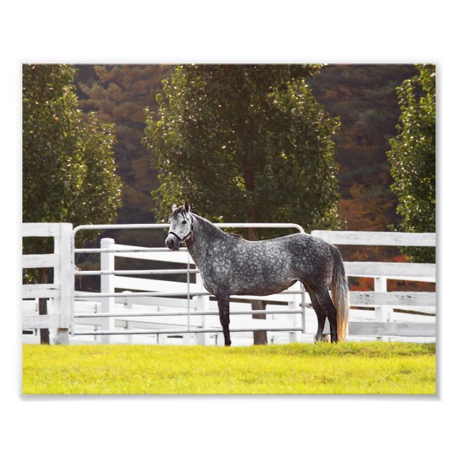 Stand Proud Photo Print (Front)