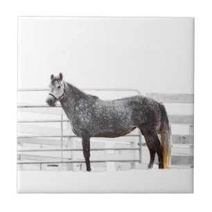 Stand Proud Tile