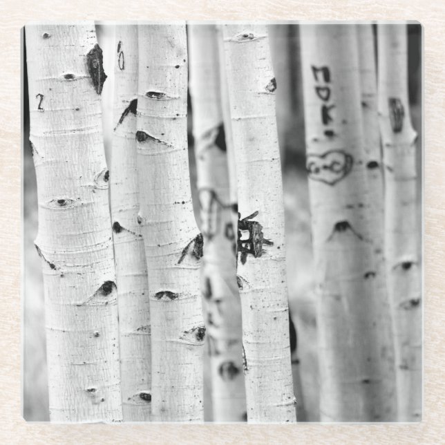 Stand tall Aspen's Glass Coaster (Front)