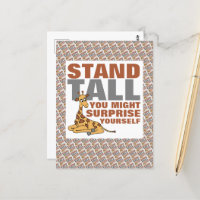 Stand Tall, Giraffe