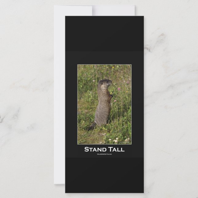 Stand Tall Marmot Card (Front)