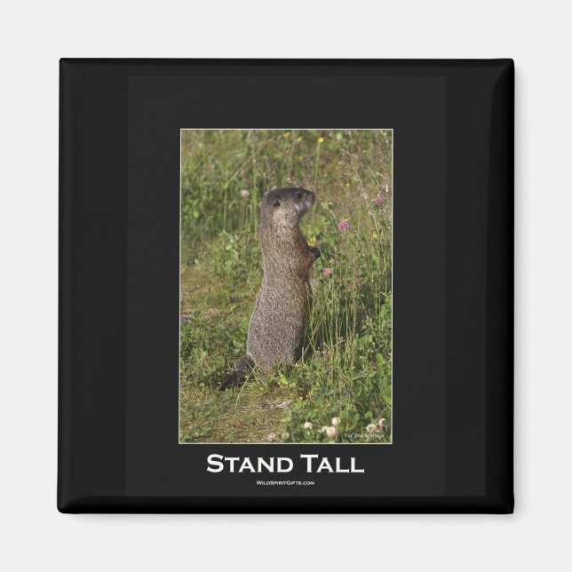 Stand Tall Marmot Magnet (Front)