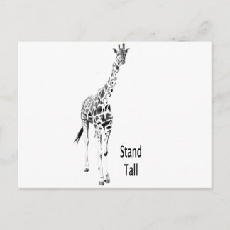 Stand Tall Postcard