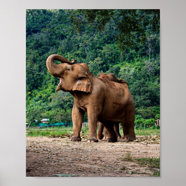 Stand Up And Be Heard Poster (Front)