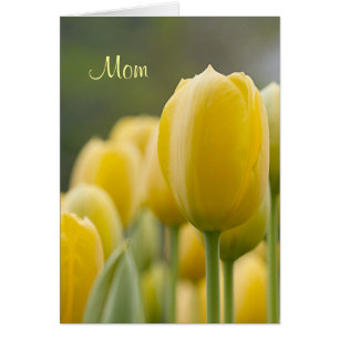 Stand Up Tulip