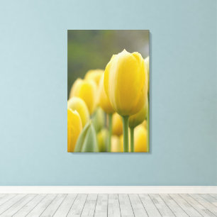 Stand Up Tulip Canvas Print