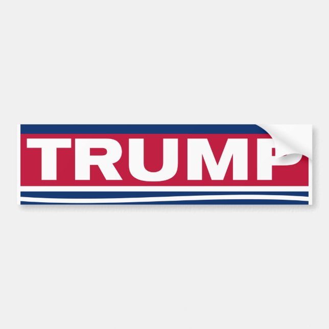 Stand with Trump~2024~MAGA Bumper Sticker (Front)