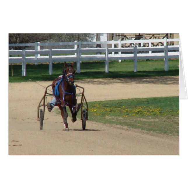 Standarbred (Front Horizontal)