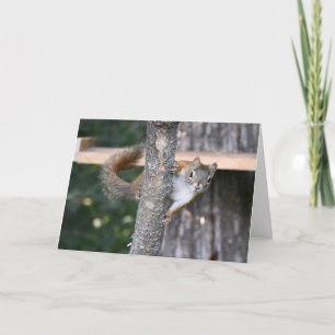 Standard, 12.7 cm x 17.8 cm Folded Greeting Card