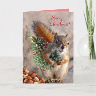 Standard, 12.7 cm x 17.8 cm Folded Greeting Card