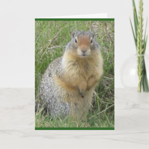 Standard, 5" x 7" Folded Greeting Card