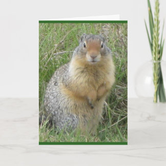 Standard, 5" x 7" Folded Greeting Card