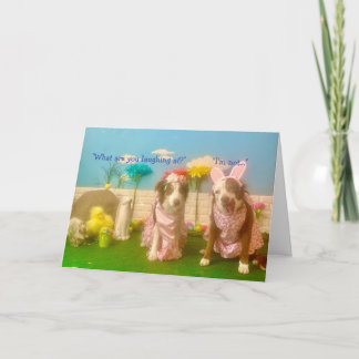 Standard, 5" x 7" Folded Greeting Card