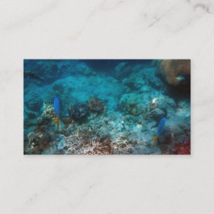 Standard Business Card 3.5" x 2.0"