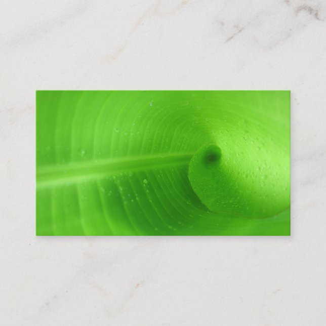 Standard Business Card 3.5" x 2.0" (Front)