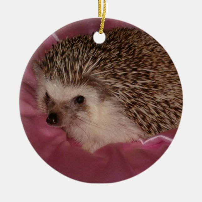 Standard hedgehog ornament (Front)