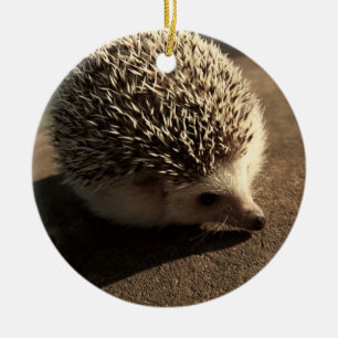 Standard hedgehog ornament