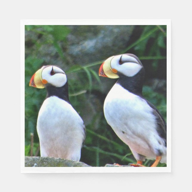 Standard Luncheon paper napkins w/ puffins (Front)