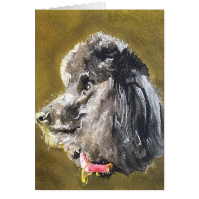 Standard Poodle (Front)