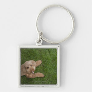 standard poodle 2 key ring
