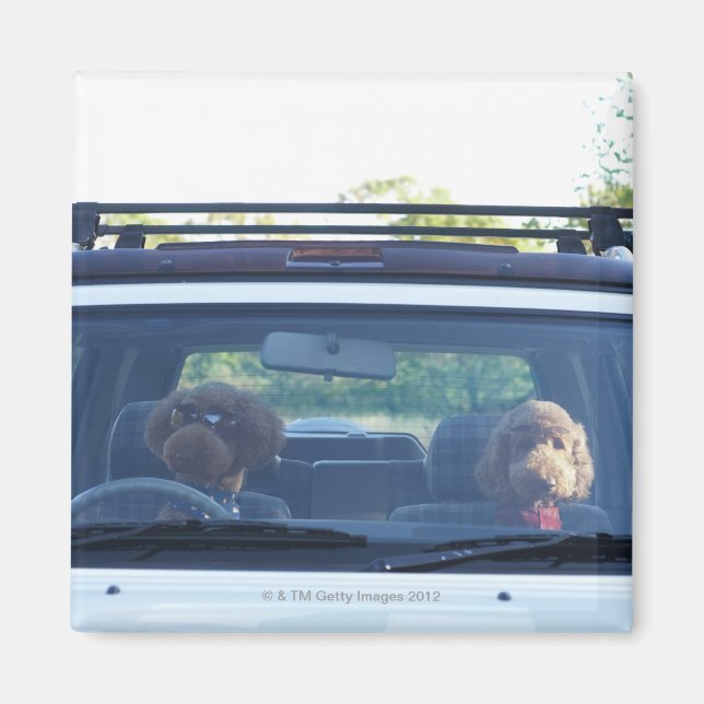 standard poodle 4 magnet (Front)