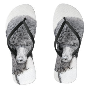 Standard Poodle Black Parti Painting - Dog Art Flip Flops