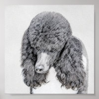 Standard Poodle Black Parti Painting - Dog Art