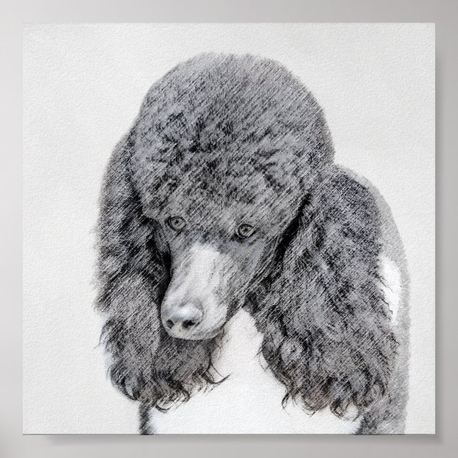 Standard Poodle Black Parti Painting - Dog Art Poster (Front)