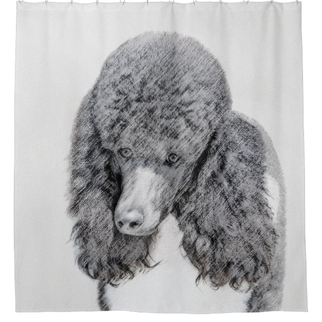 Standard Poodle Black Parti Painting - Dog Art Shower Curtain (Front)