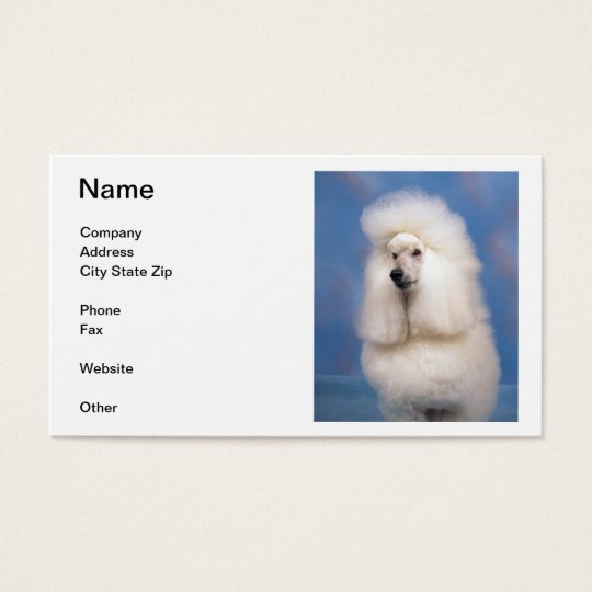 Standard Poodle Business Cards