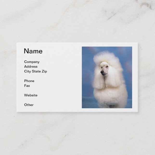 Standard Poodle Business Cards (Front)