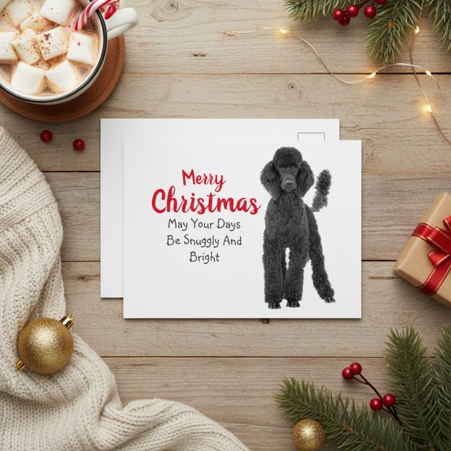 Standard Poodle Christmas Card (Standard Poodle Christmas Card)