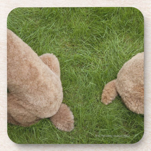 standard poodle coaster (Front)