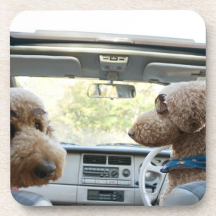 standard poodle coaster