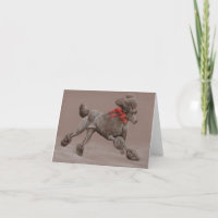 Standard Poodle Dog Art Canine Greeting Card