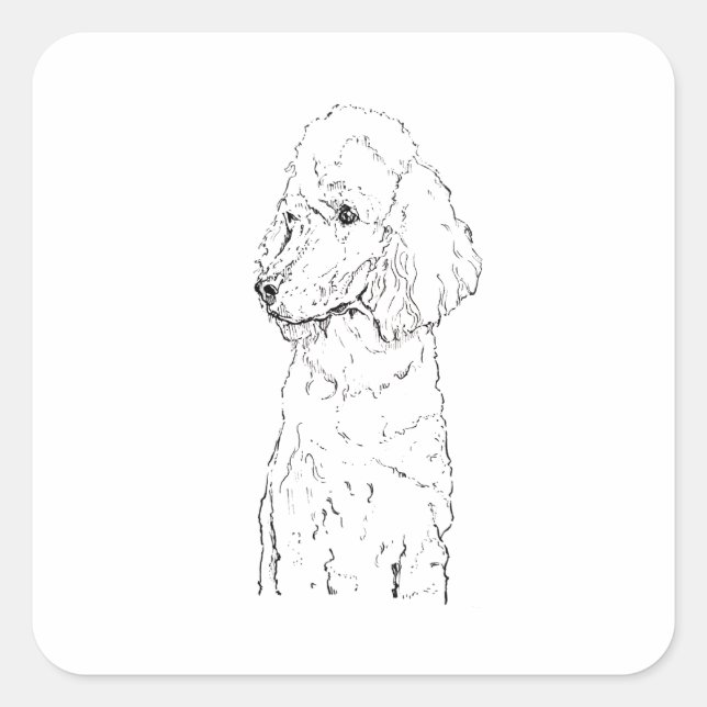 Standard Poodle Dog Illustration - Ink Art Square Sticker (Front)