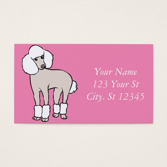 Standard Poodle Dog Thunder_Cove (Front)