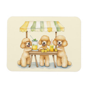 Standard Poodle Dogs Running A Lemonade Stand Magnet