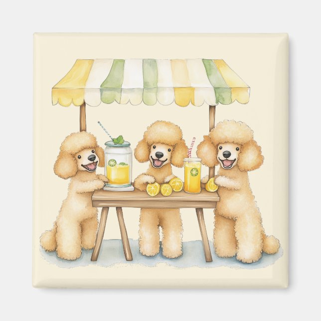 Standard Poodle Dogs Running A Lemonade Stand Magnet (Front)