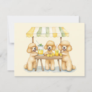 Standard Poodle Dogs Running A Lemonade Stand Postcard