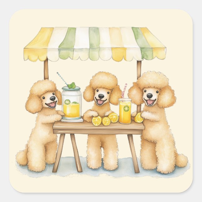 Standard Poodle Dogs Running A Lemonade Stand Square Sticker (Front)