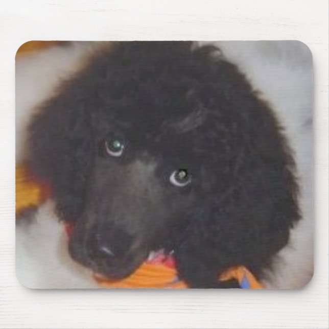 Standard Poodle Mouse Pad (Front)