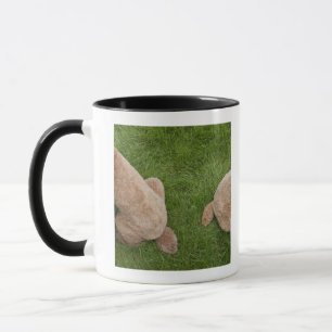 standard poodle mug