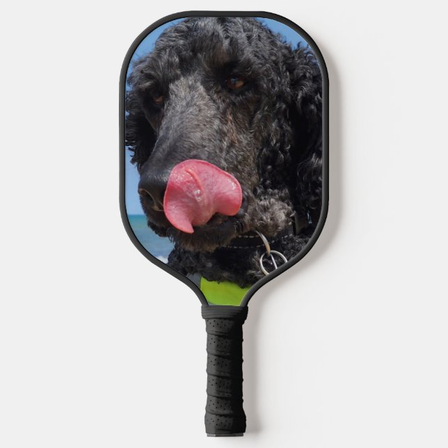 Standard Poodle Pickleball Paddle (Front)